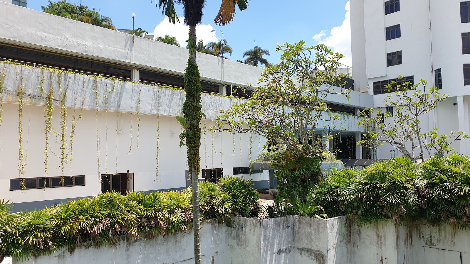 Casa Vista (High Rise Entrance) gallery image 2