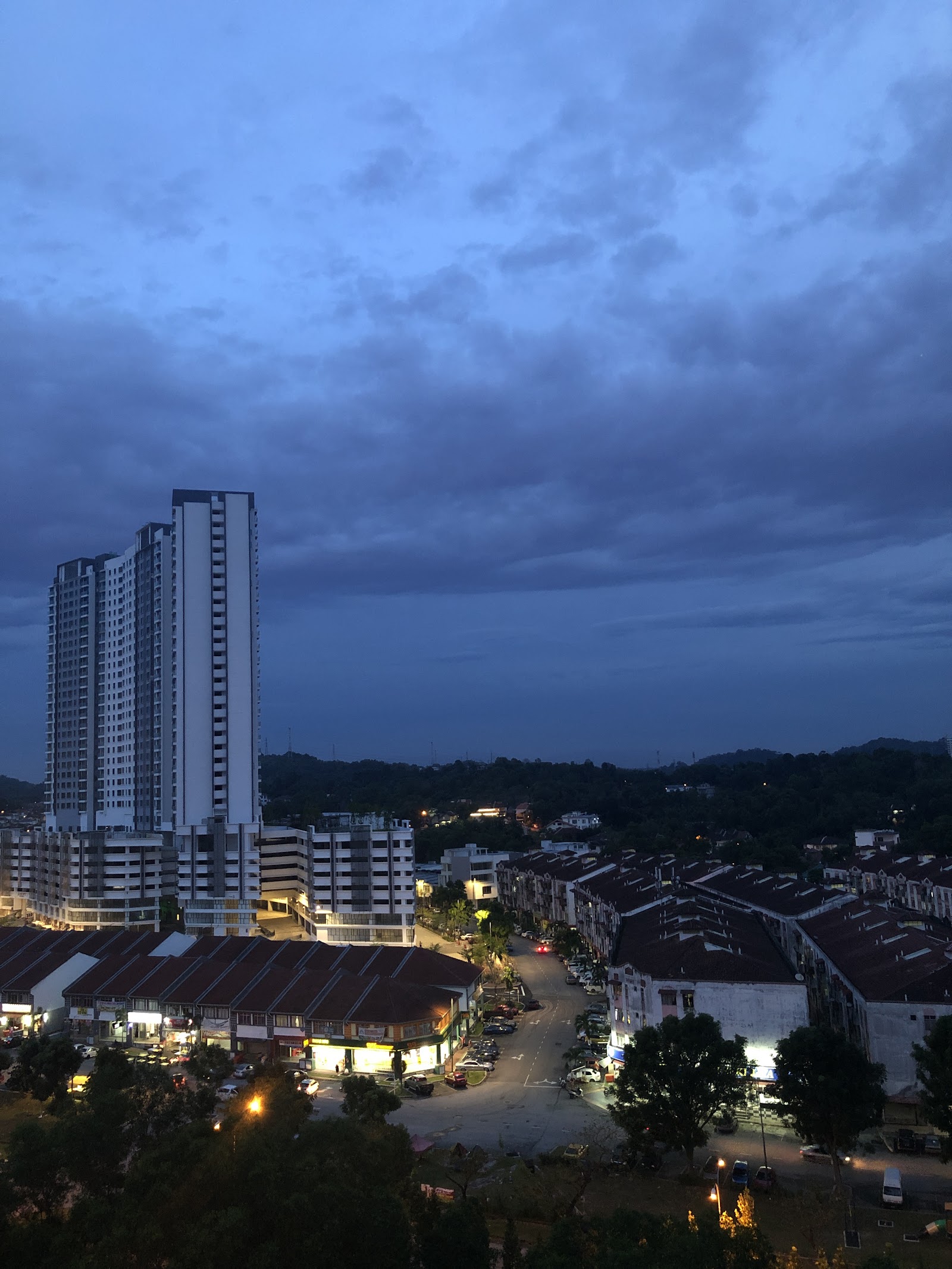Desaminium Flora Seri Kembangan, Lestari Perdana gallery image 4