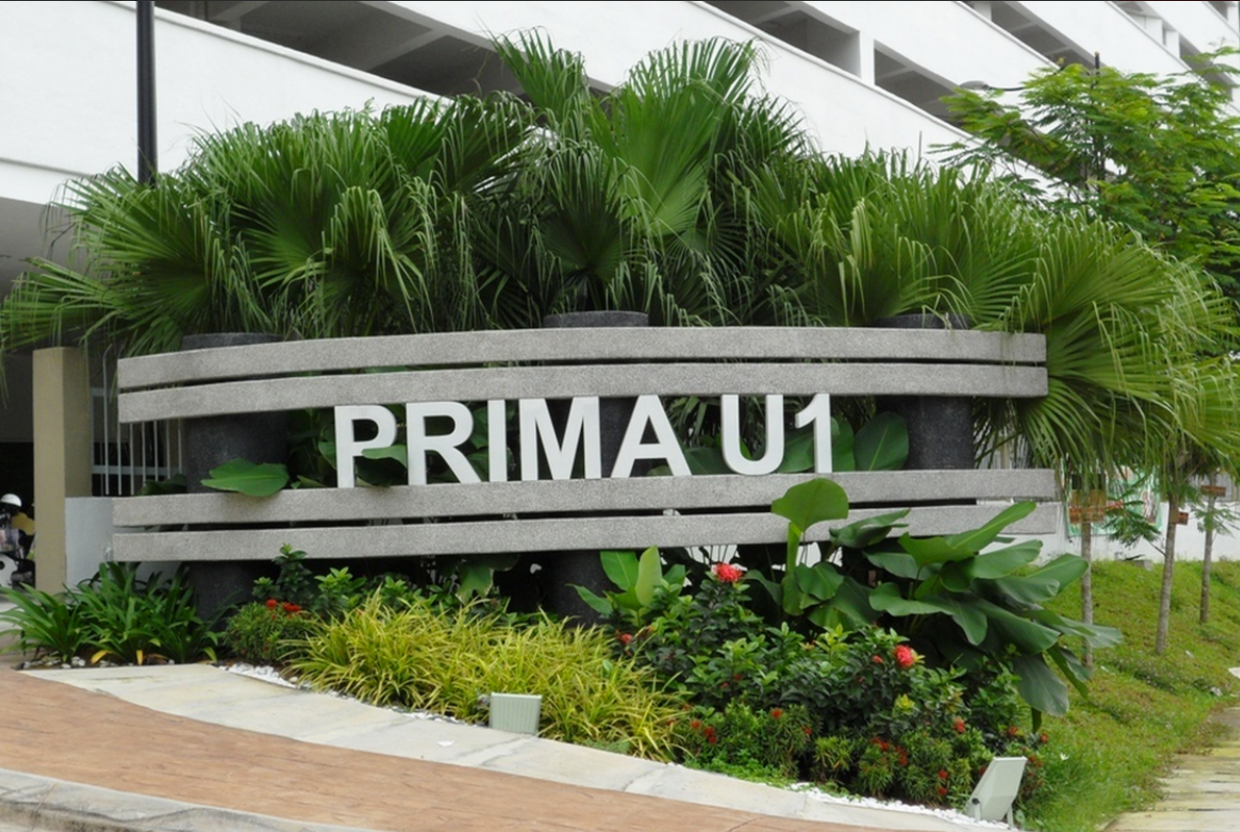 Prima U1 gallery image 2