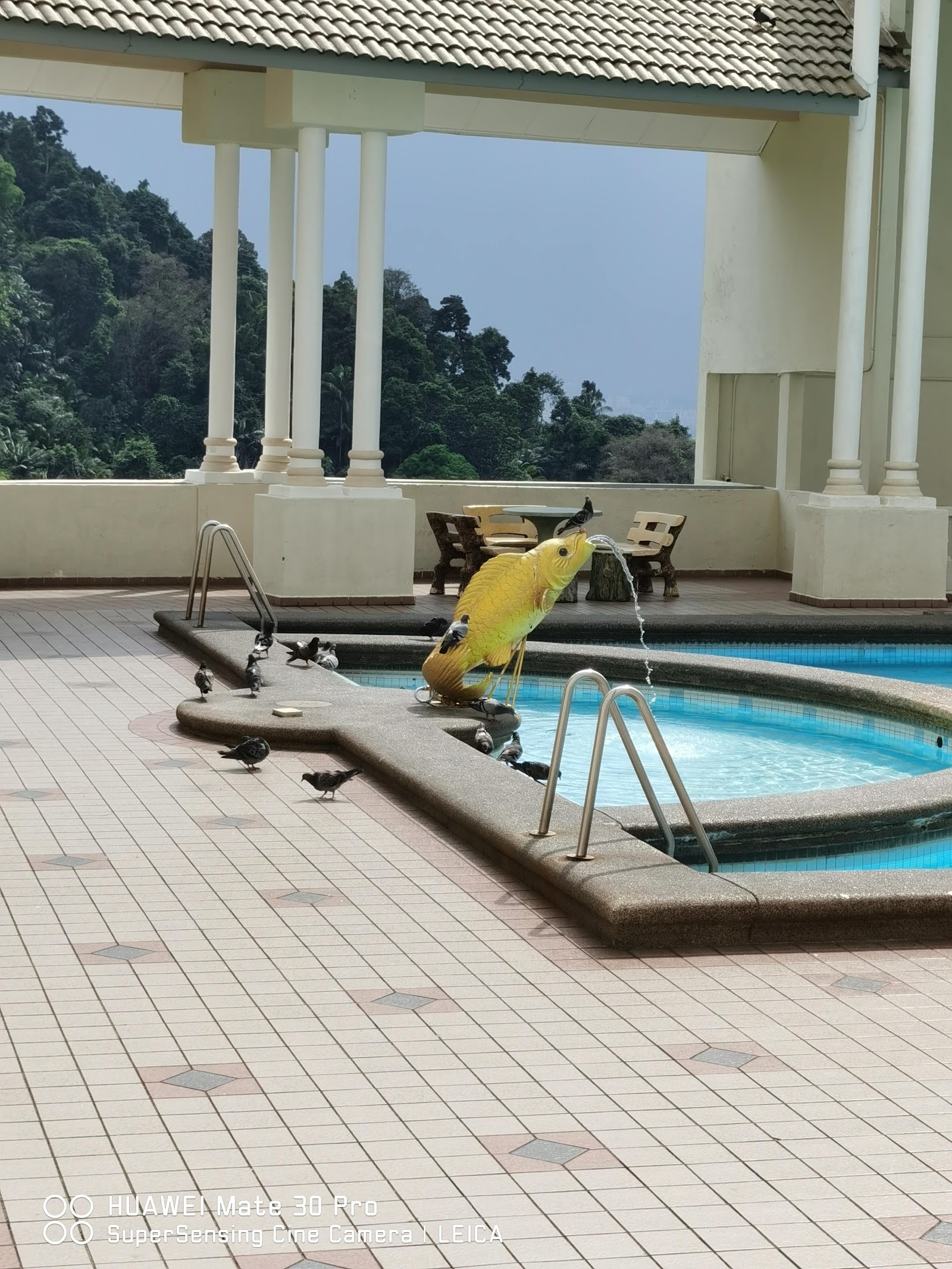 Puncak Athenaeum Condominium gallery image 2