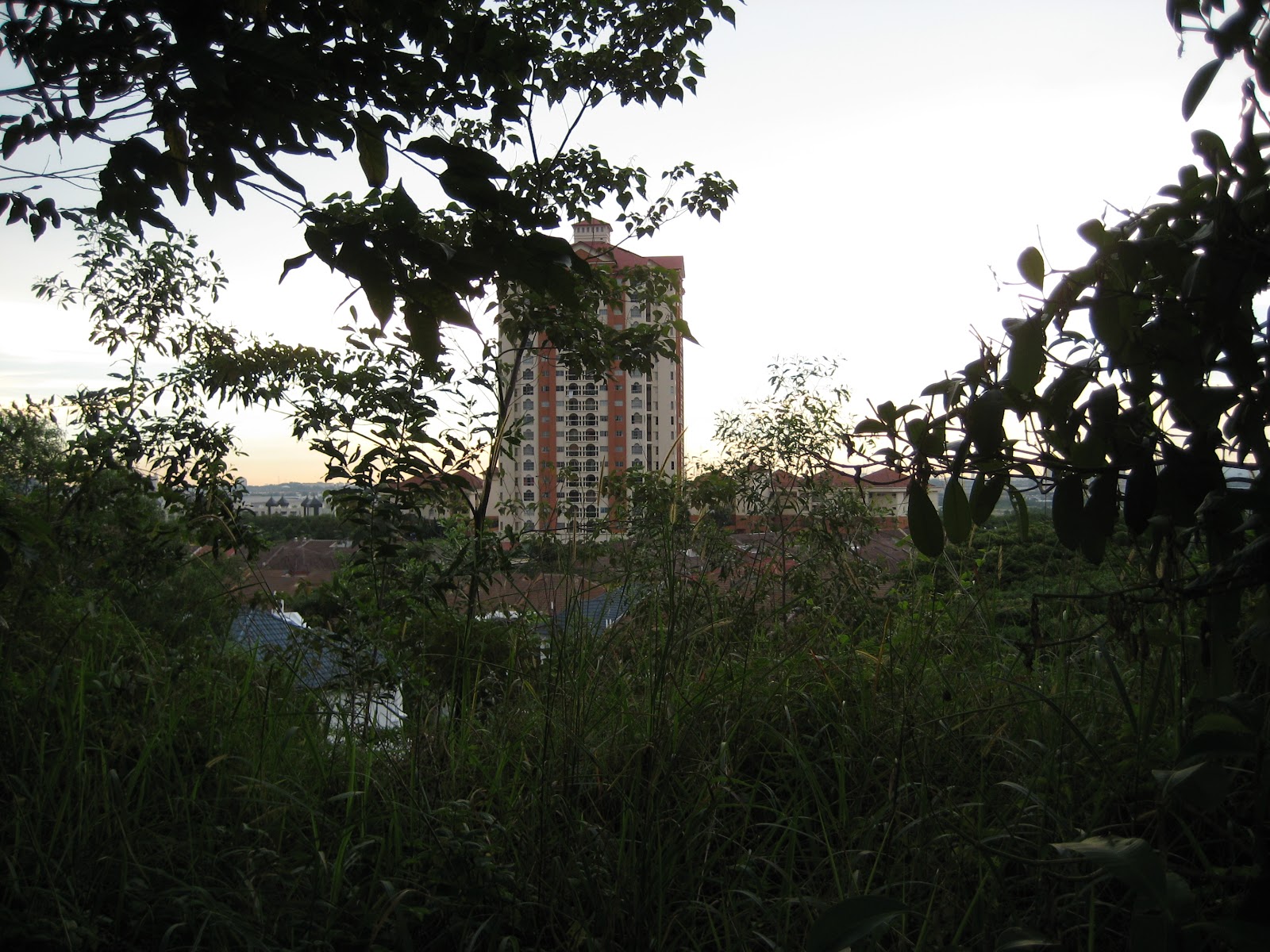 La Vista Condominium gallery image 3